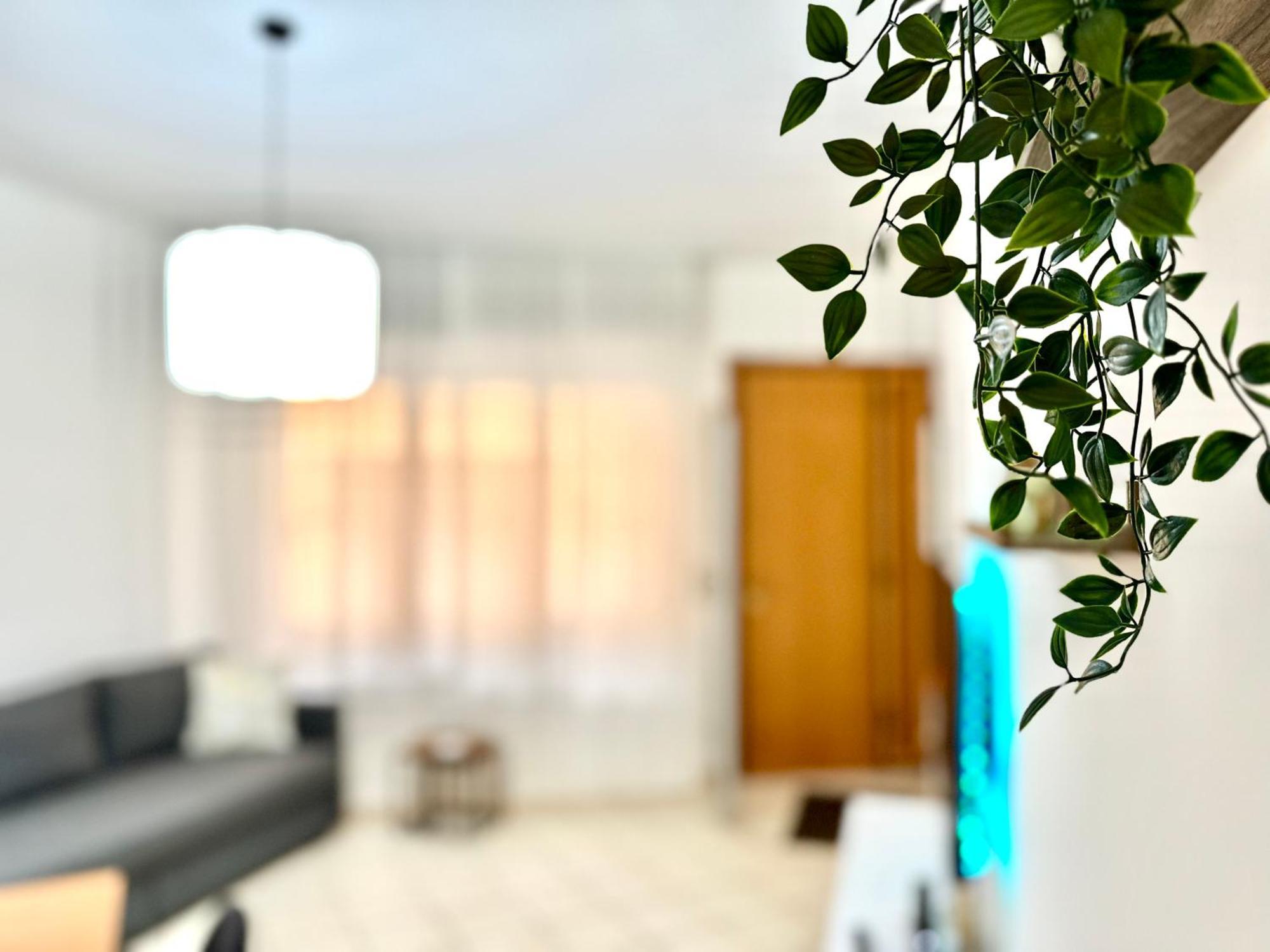 Domus Sofia Historic Center Rimini Apartment Ngoại thất bức ảnh