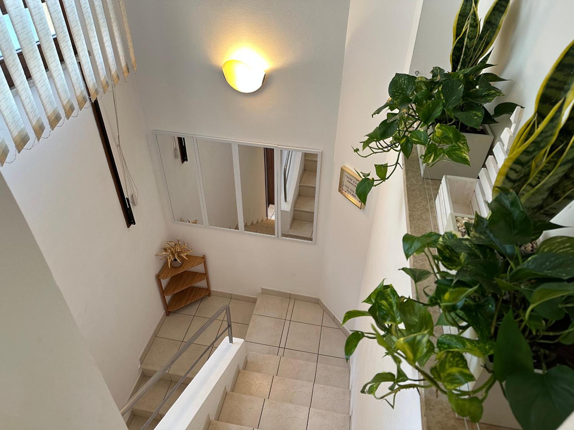 Domus Sofia Historic Center Rimini Apartment Ngoại thất bức ảnh